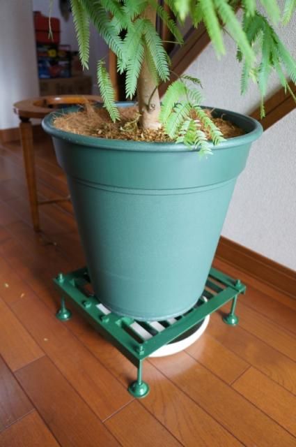 DIY 水遣り