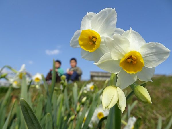 ま～だだよ～♪