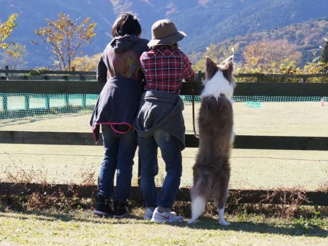 TV「趣味の園芸」を観る・・・・