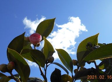 青空だが風が！