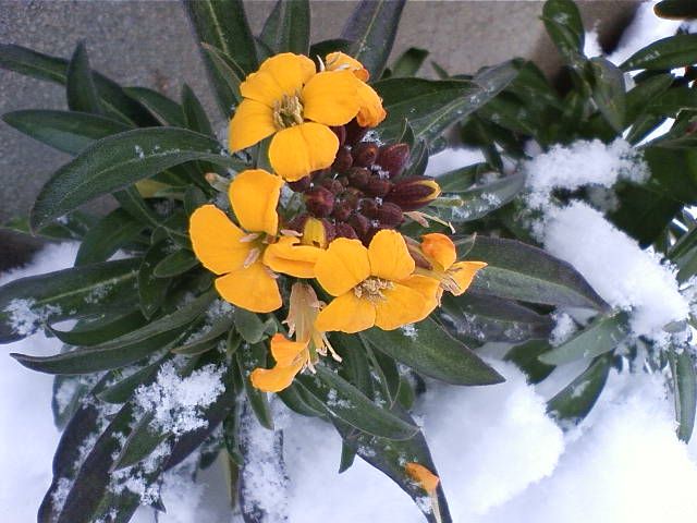 またまた雪国に・・・・