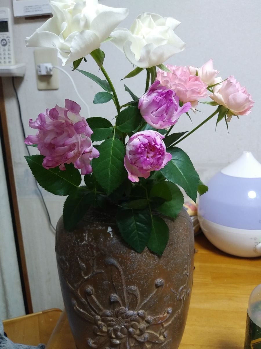 母からもらった花瓶と買って来た薔薇😄