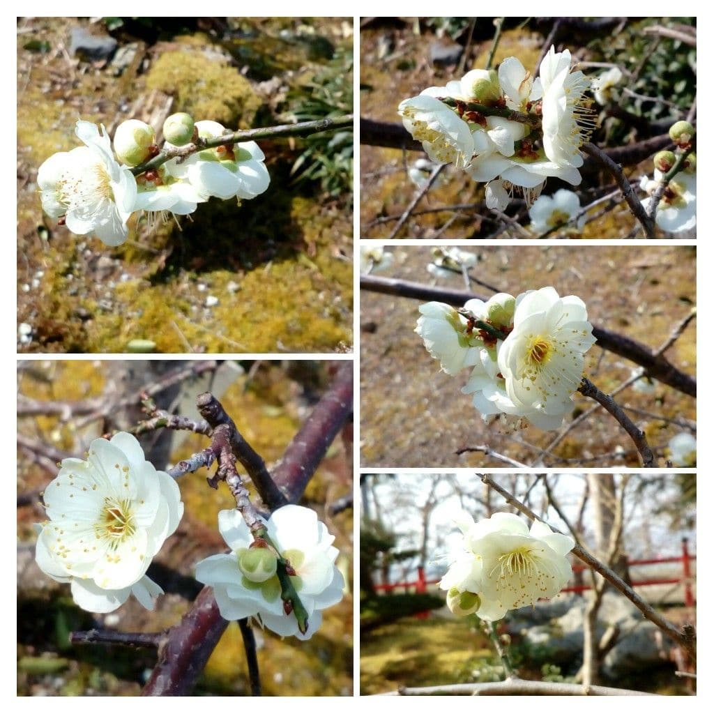 春の陽気に誘われて．．．