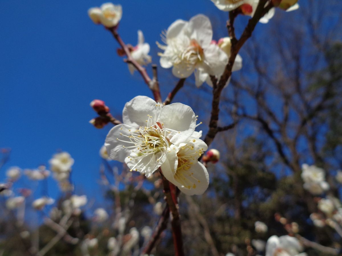 今日はフルコース(*´▽｀*)その③