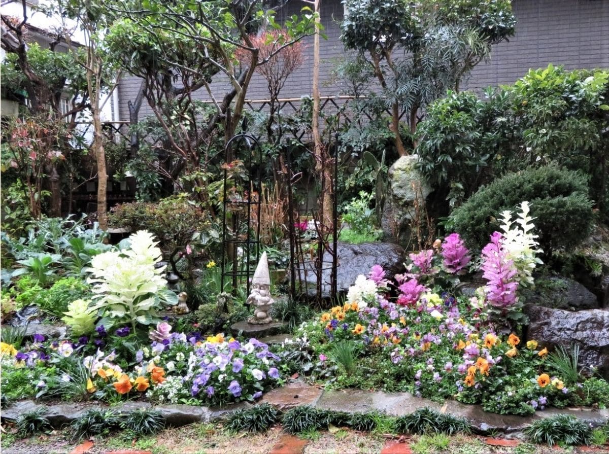 ☔雨降る日の花壇