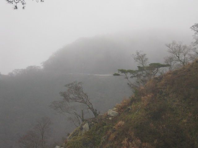 山に登ってきましたよ