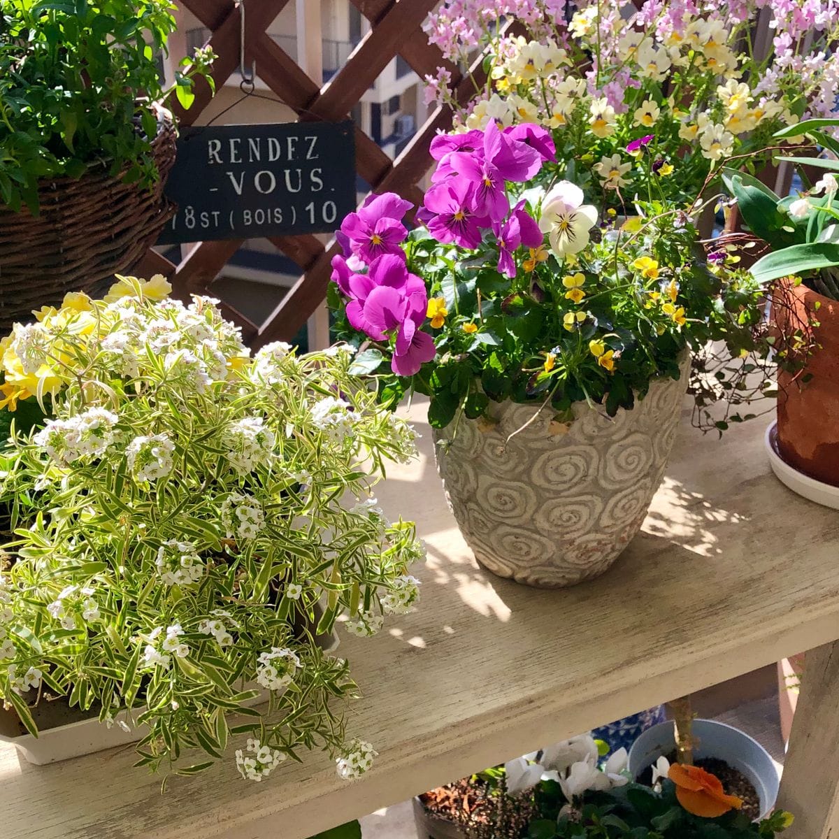 パリのお花屋さんみたいに