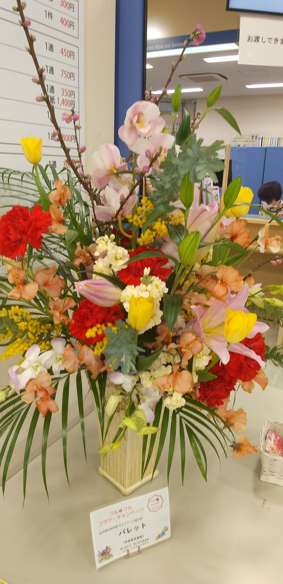 新潟市西区役所に飾られた花　⑱