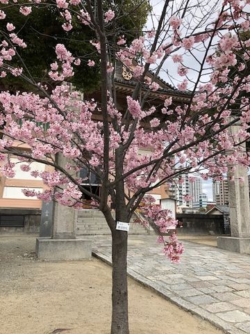 四天王寺