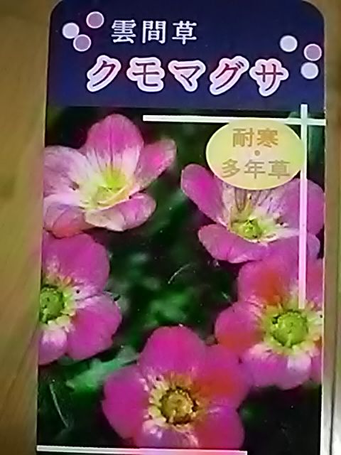 ☔/☁️　雛チョコ食べながら書いてます