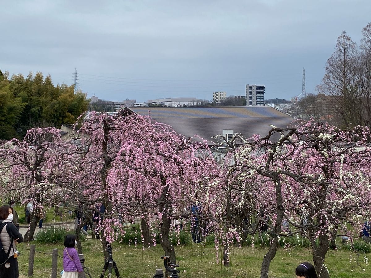 名古屋市農業センター