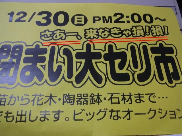 行かなきゃ損！損！