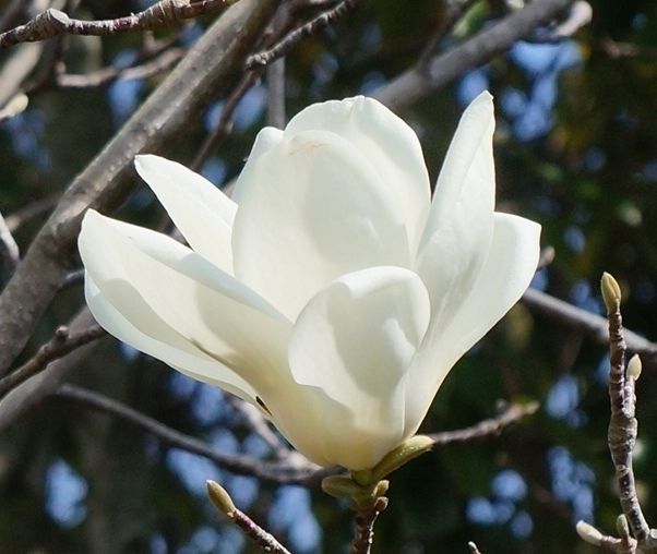 ポカポカ陽気に誘われて