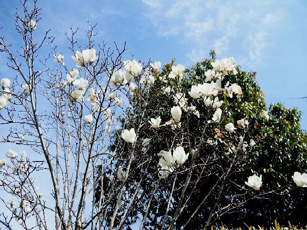 ポカポカ陽気に誘われて