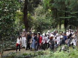 明日の花散歩の御案内！