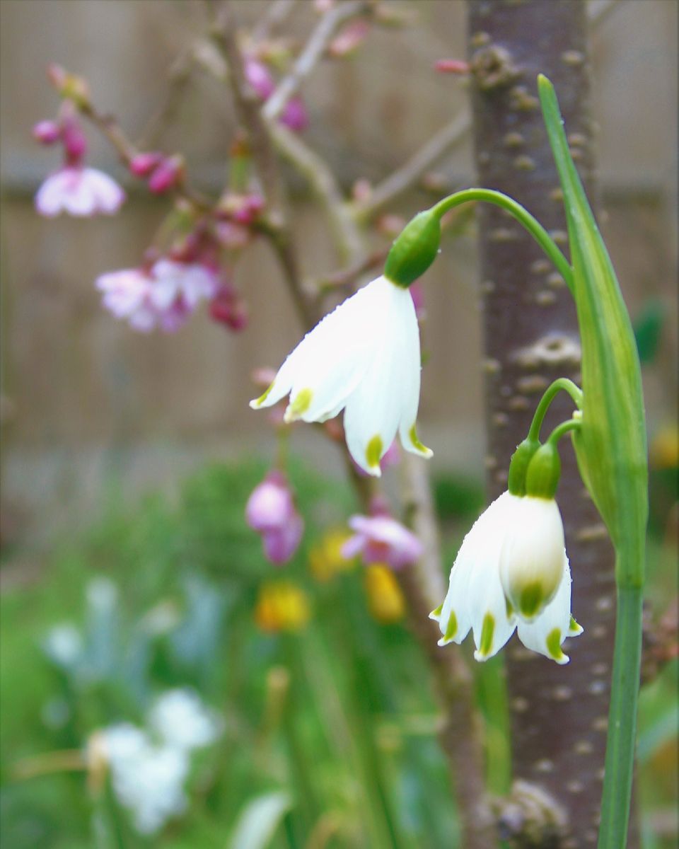 Happy Spring Equinox