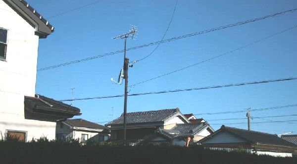 青空のポカポカ陽気