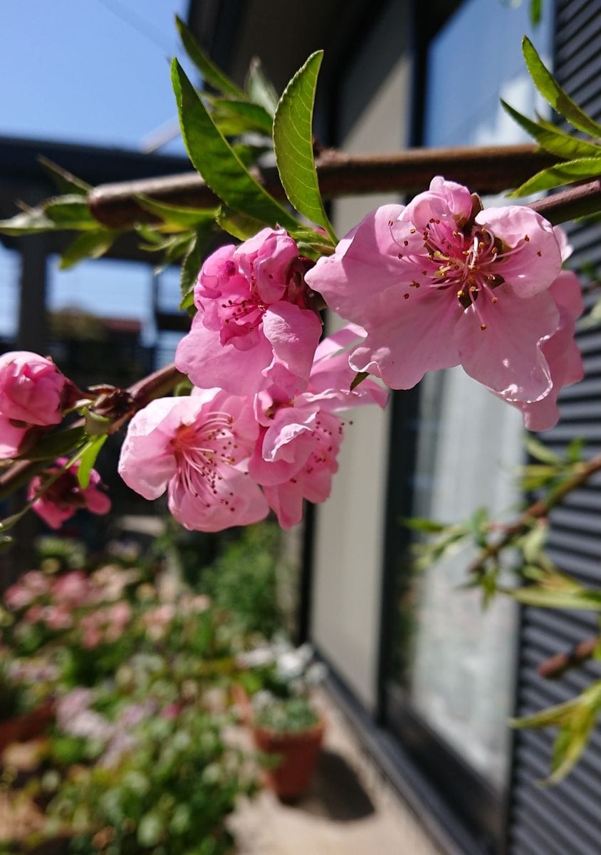 難易度高め