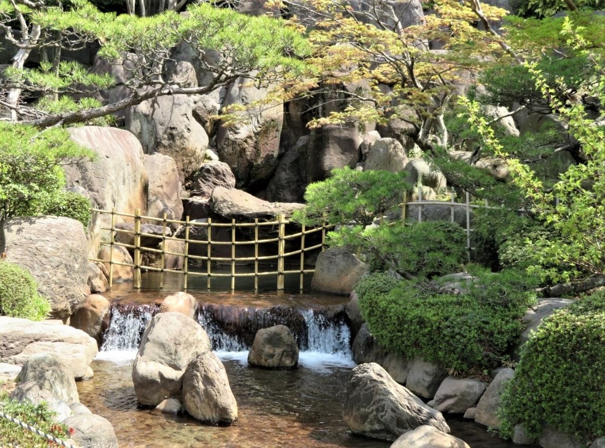 🌸平和市民公園🌸🌸