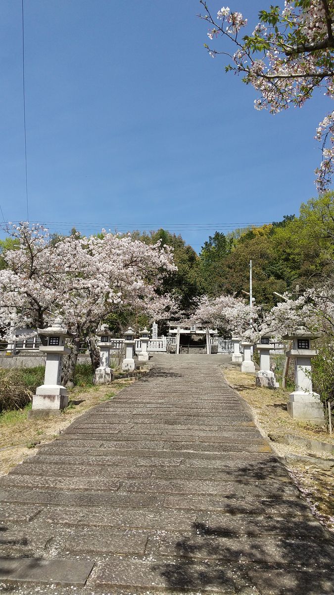 お花見に行きました