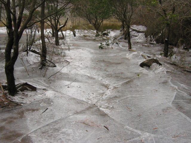 山に登ってきました