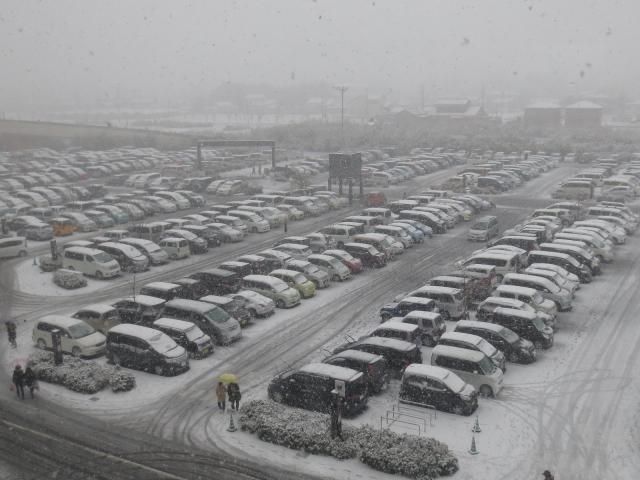 初雪です