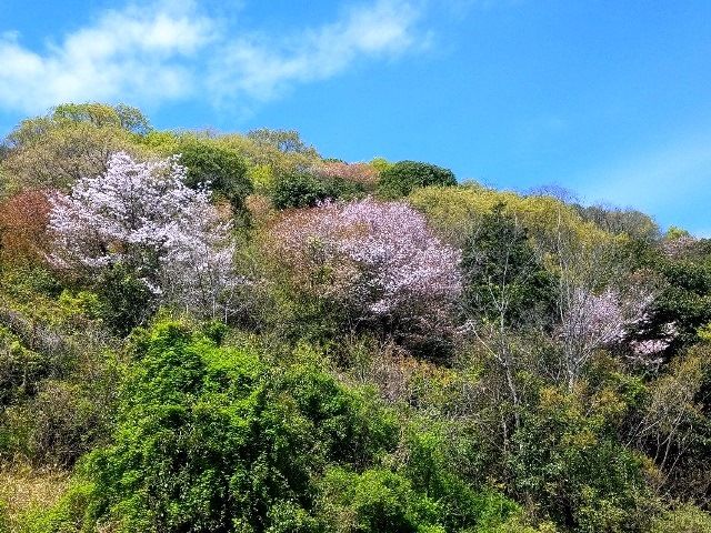 美しい里山