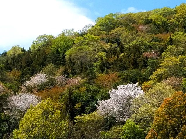 美しい里山