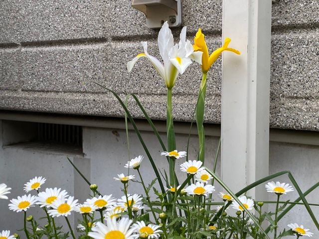 西から雨が