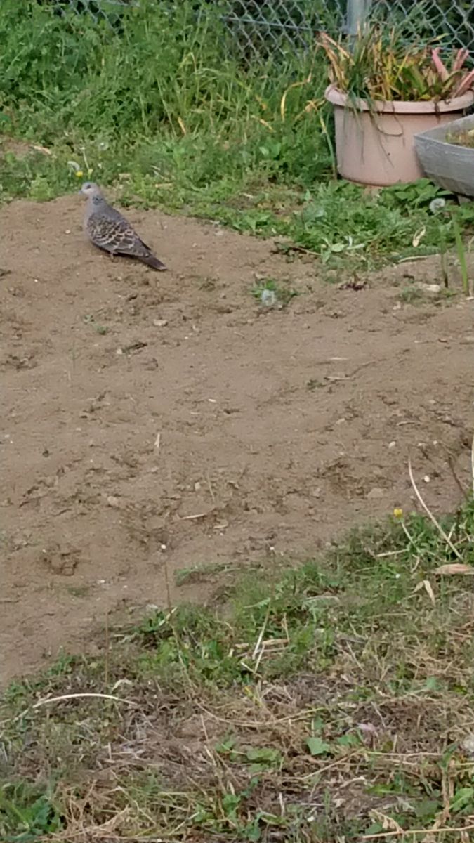 風が冷たい、、、