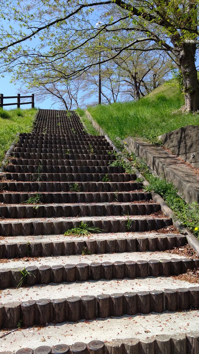 新しいウォーキングコース✨