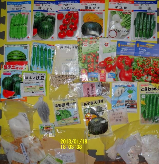 2013年春野菜のタネ播きの準備とタネ播き