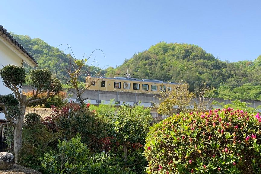 庭の花とアート列車