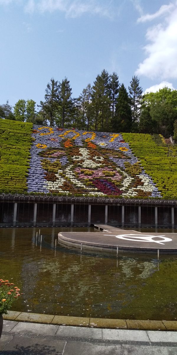 宇治植物公園に行ってきましたー🌷