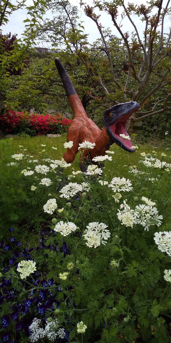 宇治植物公園に行ってきましたー🌷