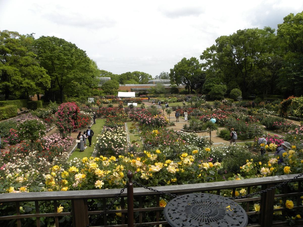 植物園その③・・・