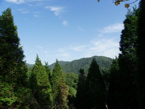 神戸市立森林植物園に行ってきましたヨン様（笑）