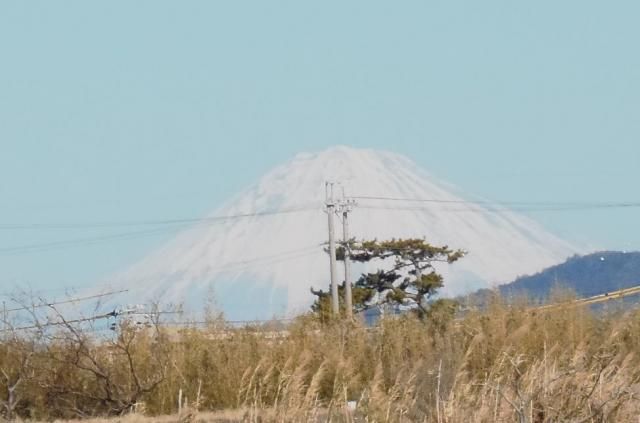 河口散策