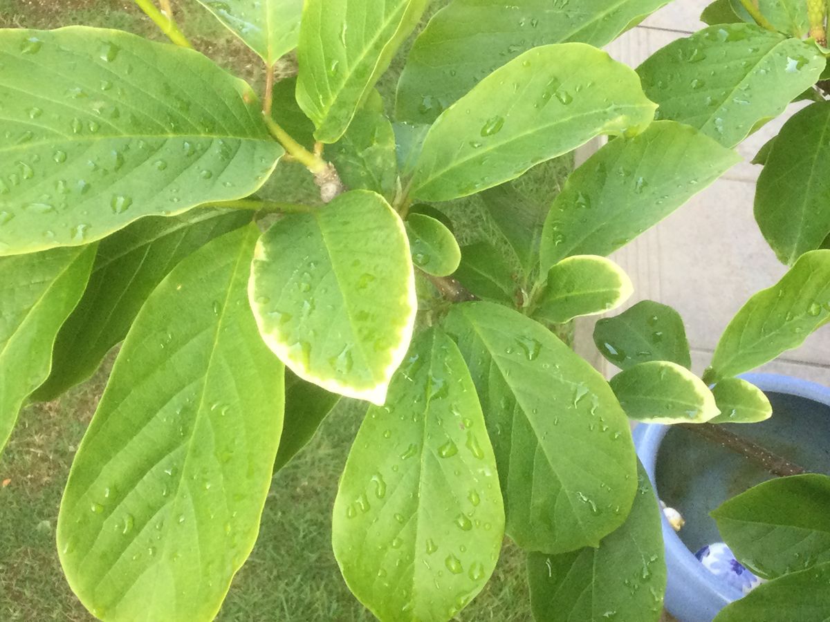 雨も上がって