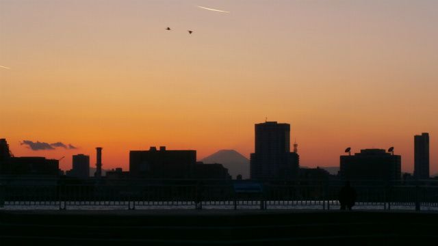 お台場富士山♪。