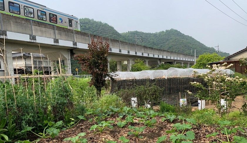 庭の花とラッピング列車