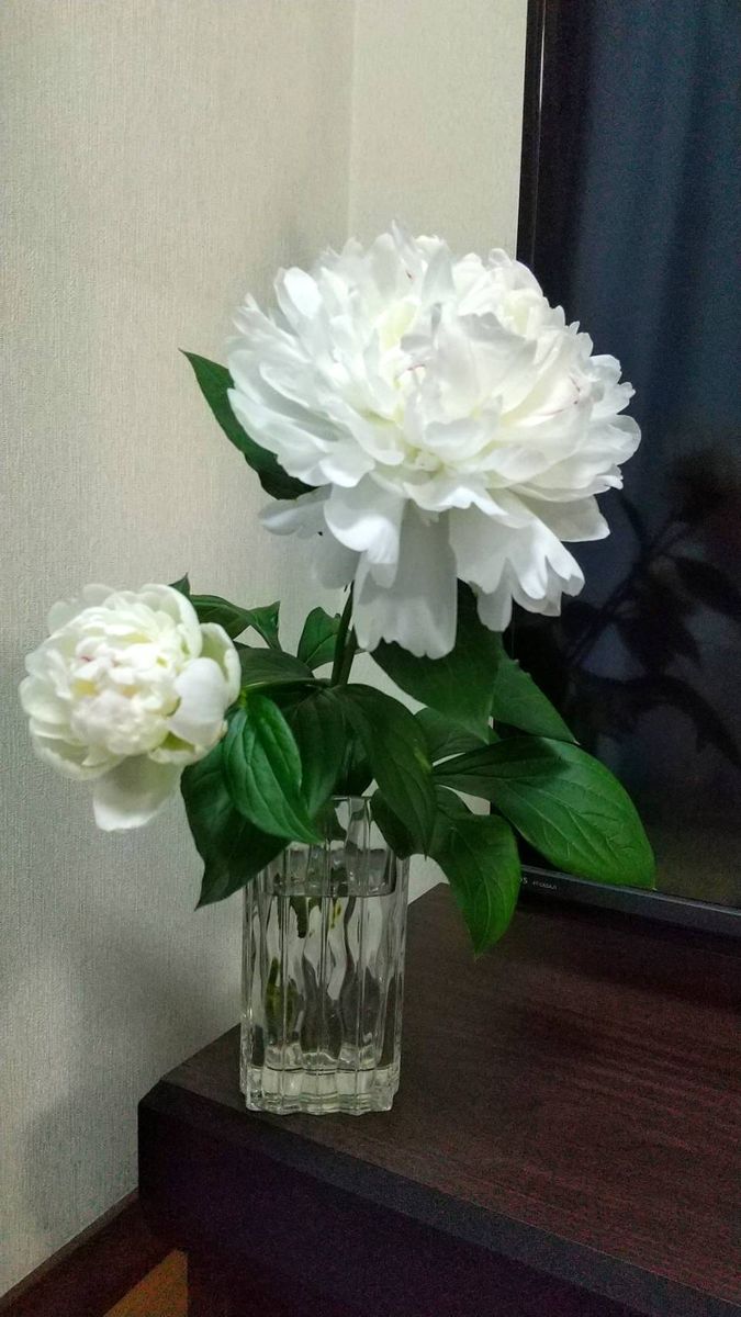 芍薬と薔薇