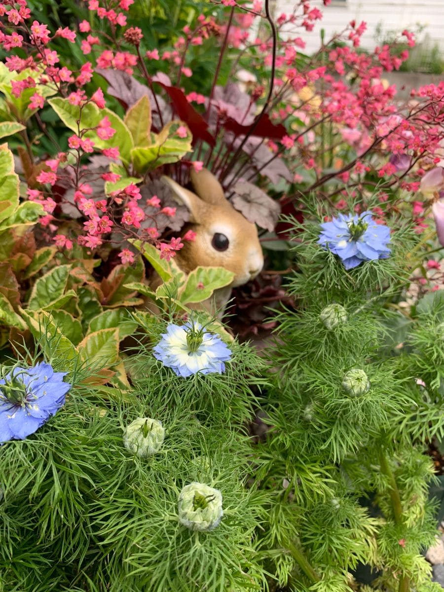 梅雨ですか…🌀