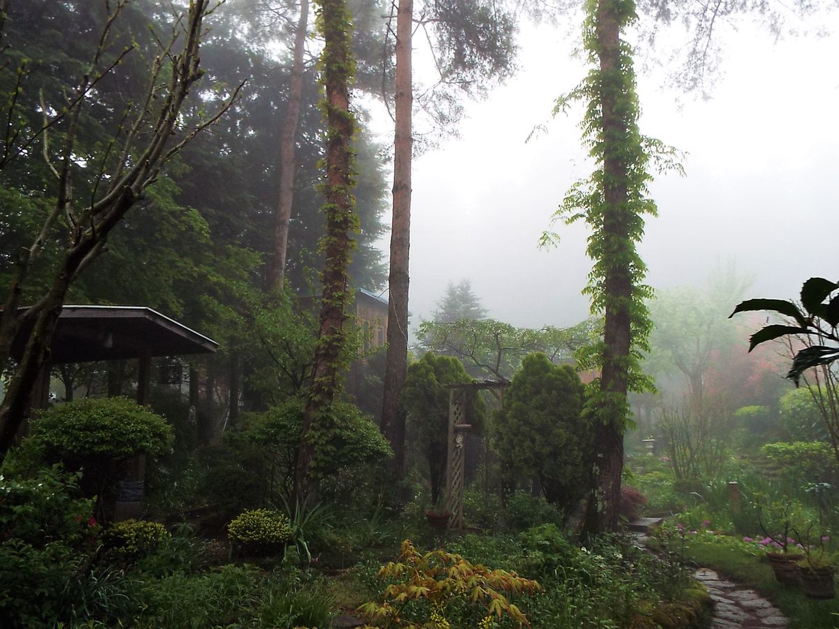 霧の朝の風景