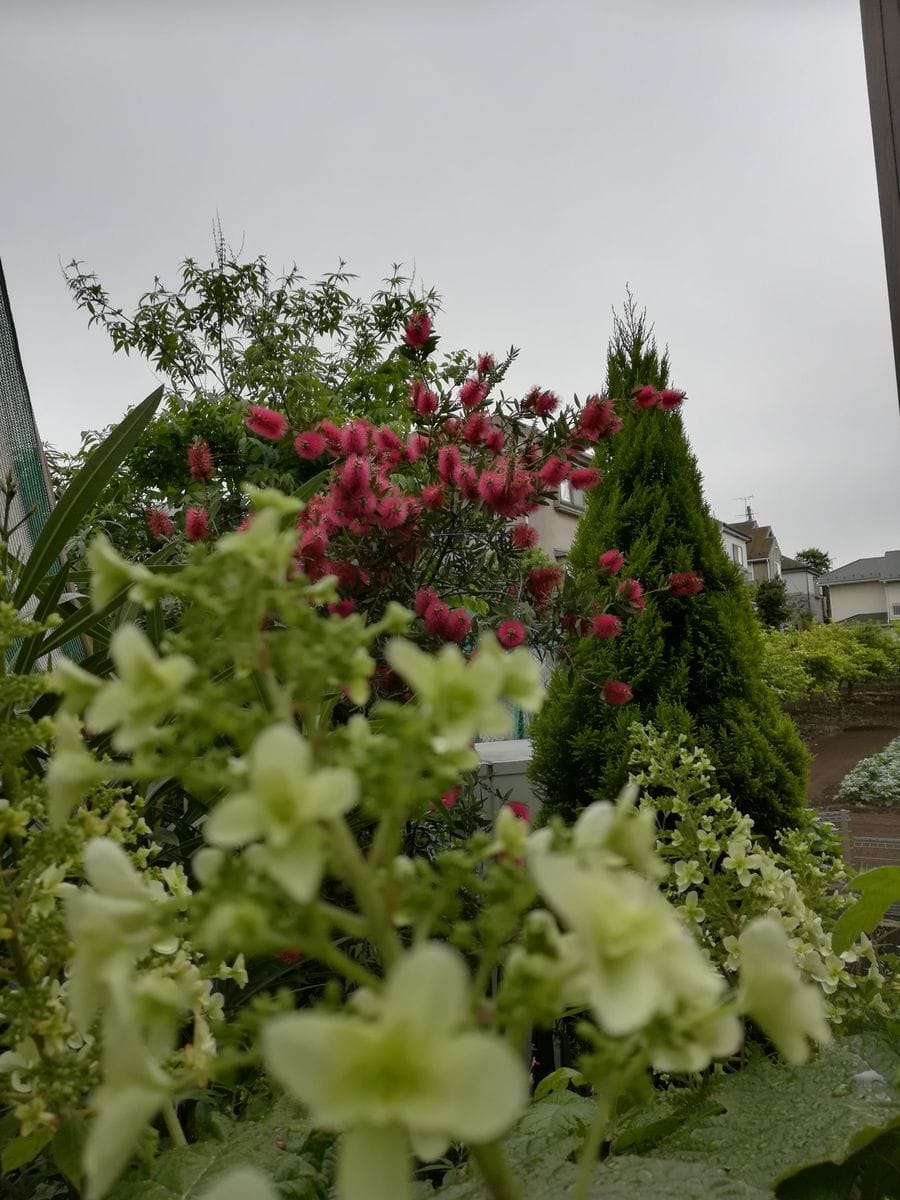 雨の一日☔☔