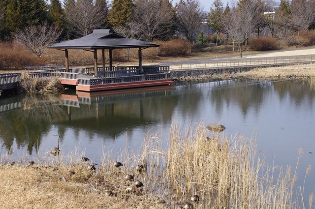 みかも山公園①