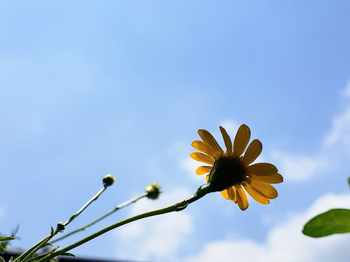 梅雨の晴れ間