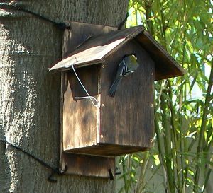 野鳥の巣箱づくり教室、開催！