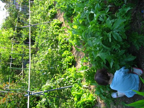 野菜もりもり！！