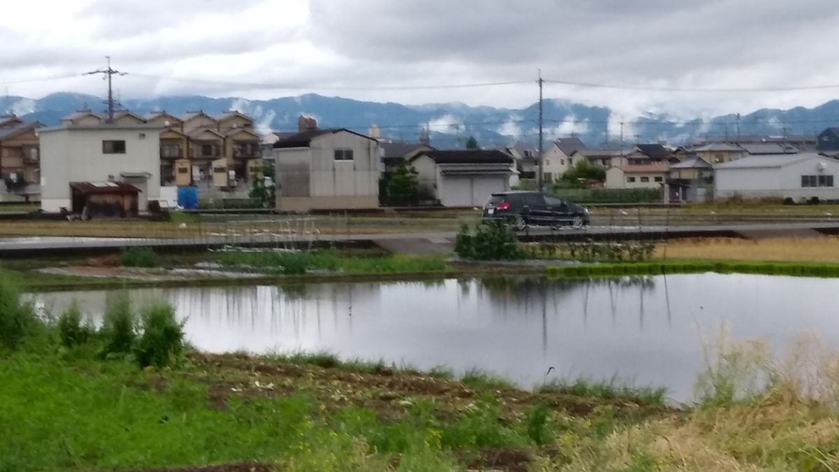 田植え始まる～♫